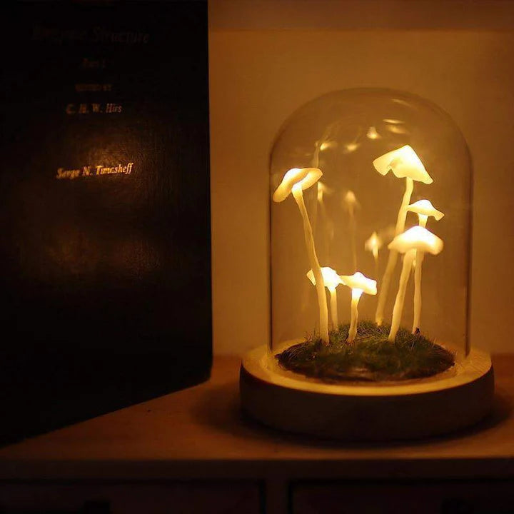 DIY-Mushrooms-in-Forests-Light-Blackbrdstore-698_720x720_a7663d28-b321-4bc8-95f7-b71ccc8fb27e.webp