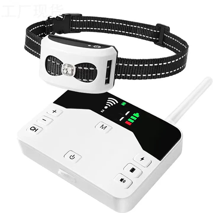 Clôture Sans Fil 2-en-1 & Collier de Dressage pour Chiens en Extérieur