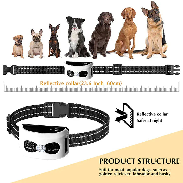 Clôture Sans Fil 2-en-1 & Collier de Dressage pour Chiens en Extérieur