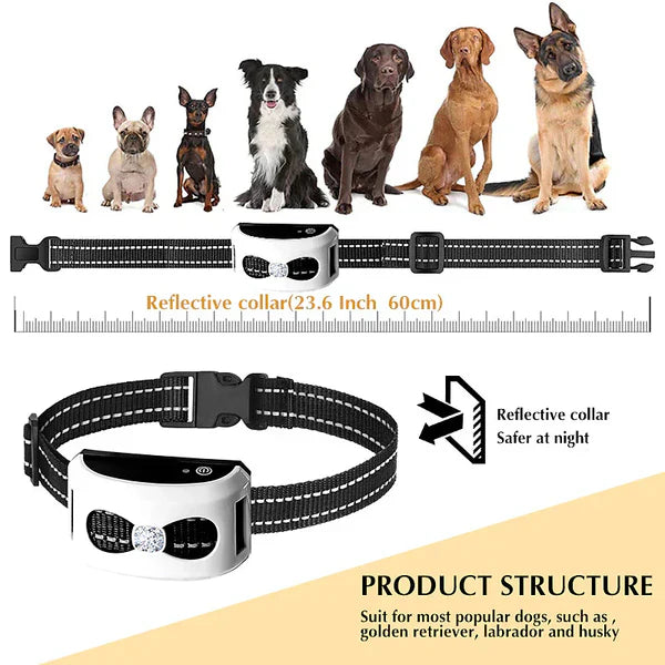 PawPal Collier Canin Sans Fil – Liberté et Sécurité pour Votre Chien