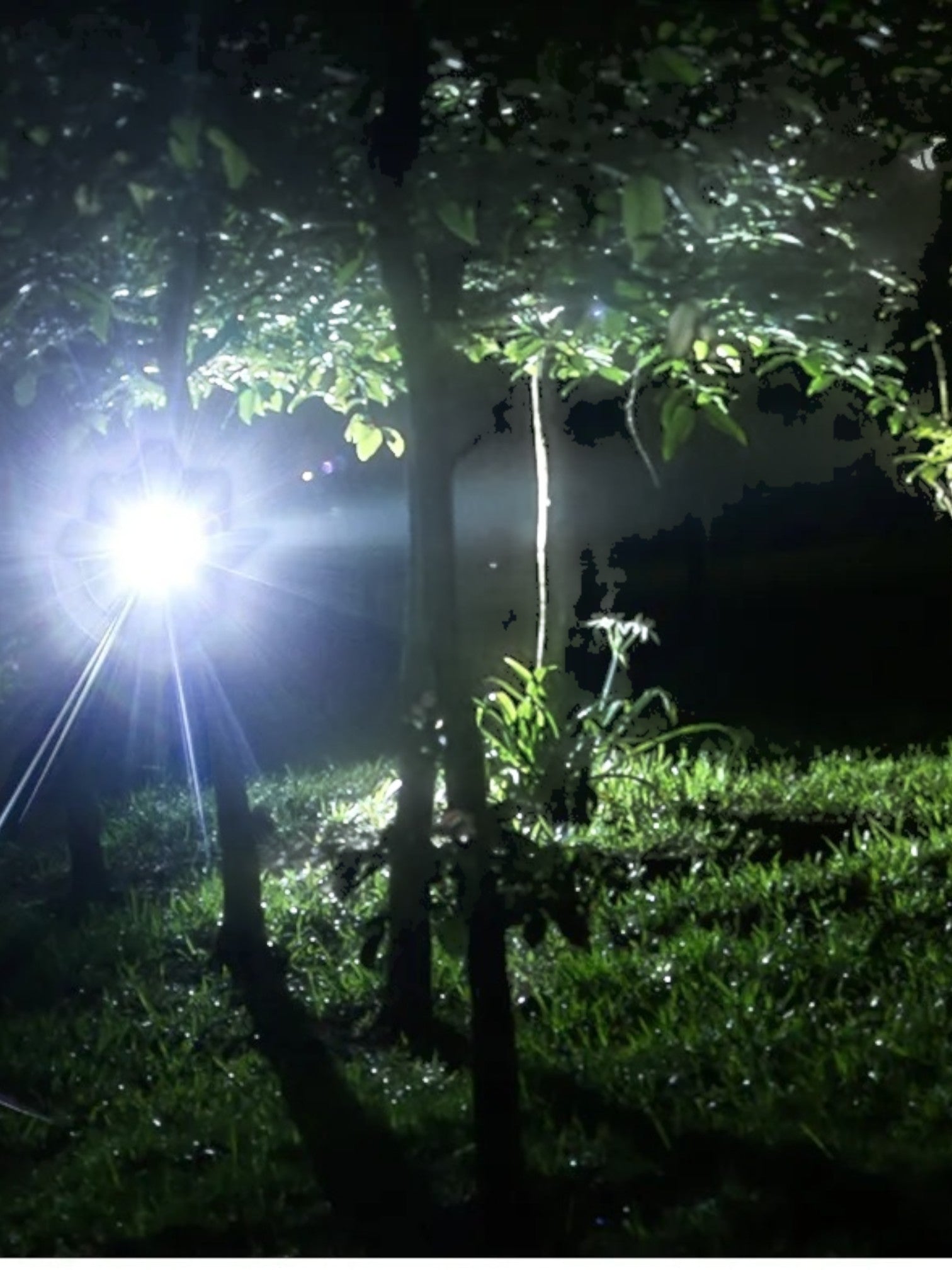 Lampe Frontale LED Rechargeable – Puissante, Étanche et Longue Durée – PowerBeam